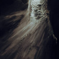 Wrapped_in_Bones_by_Bao_Pham.jpg