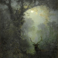 Eugen Kruger - Hirsch im Wald.jpg