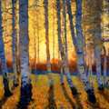 Jef Bourgeau - Setting Sun.jpg