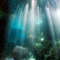440550701_03d4de6186_o.jpg