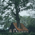 CPTcqNYDKB1-png__700 (1).jpg