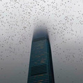 building.jpg
