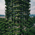 building_with_vegetation.jpg