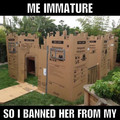 cardboard_box_fort.jpg