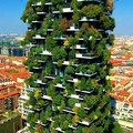greenery.jpg