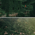 shengsi island.jpg