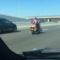 67514e8b0247d_interesting-things-on-the-road.jpg