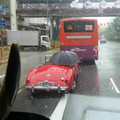 67514fcb8b522_interesting-things-on-the-road.jpg
