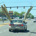 676e9dd3c531f_idiots-in-cars.jpg