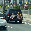 677cd8856d522_idiots-in-cars.jpg