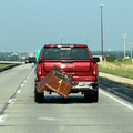 677cf6233c9c5_idiots-in-cars.jpg