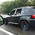 backseat driver.jpg