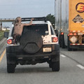 car_3.jpg