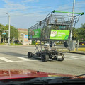 florida shopping cart.jpg