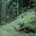 main-qimg-a8c3b56065ce69ad140b28bc593be7d3.jpg