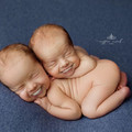 baby-portraits-teeth-added-coffee-creek-studio-amy-haehl-14-5d3e907697db6__880.jpg