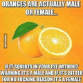 bitter_for_no_f_ing_reason.jpg