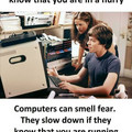 computers.jpg