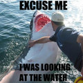 excuse_me_i_was_looking_at_the_water.jpg