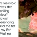 happiness.jpg