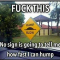 hump.jpg