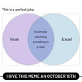 incel_excel.jpg