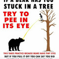 pee_in_its_eye.jpg