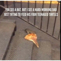 splinter.jpg