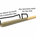 weed raccoons.png