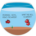 what the hell is water 2.jpg