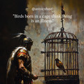 birds.jpg