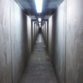 hallway 4.jpg