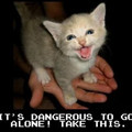 dangerous to go alone.jpg