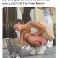hilarious-cat-memes-59-65966c9ef2631__700.jpg