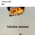 how's life.jpg