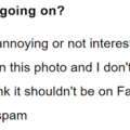 in this photo.png