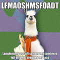 lfmaoshmsfoadt.jpg