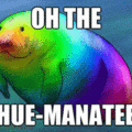 oh_the_hue_manatee.gif