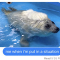 situation.jpeg