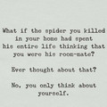spider_roommate.jpg