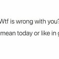 wtf is wrong with you.jpg