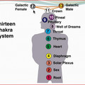 13_chakras.jpg