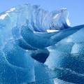 288830_v1.jpg