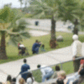 2uIYxp0gRUOZBjUeTjmt_Dog-Skateboard.gif