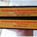 berenstein_bears.jpg