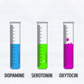 brain_chemicals.gif