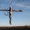 burned_out_utility_pole.jpg