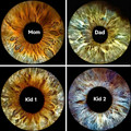 cool iris.jpg