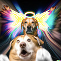 dall-e-astonished_dog_on_acid_meeting_his_ancestors.jpg