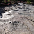 dinosaur_footprints_in_france.jpg